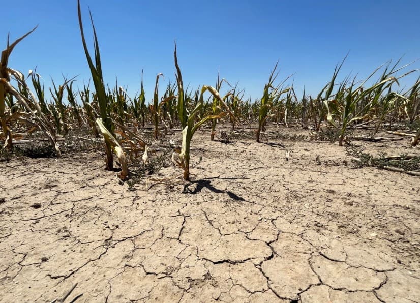 The Impact of Draught in North Africa